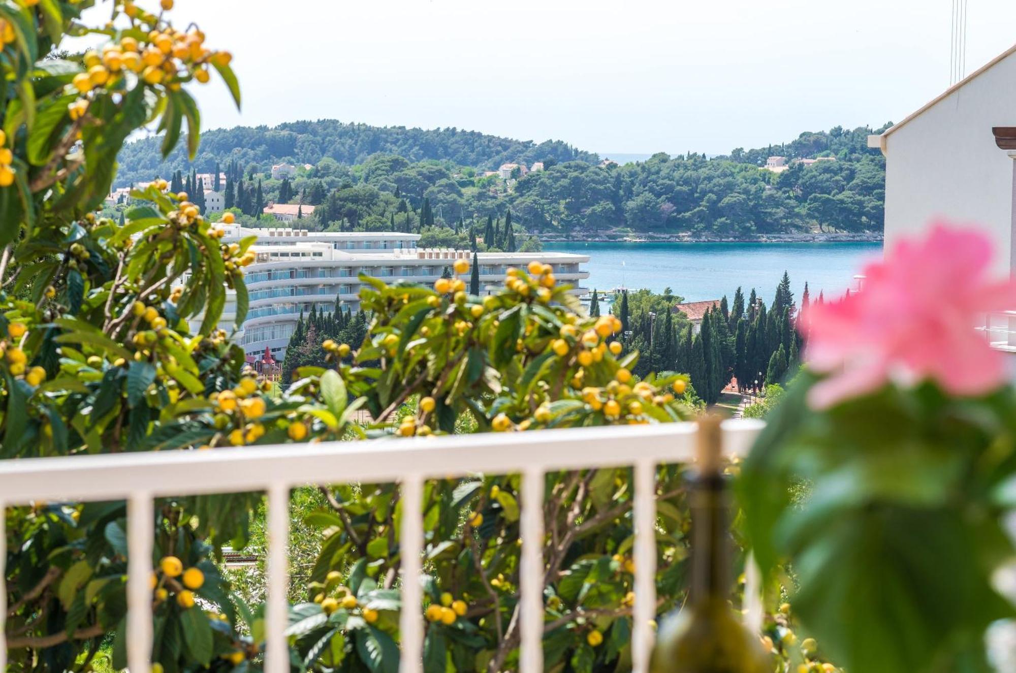 Villa Bind Cavtat Room photo